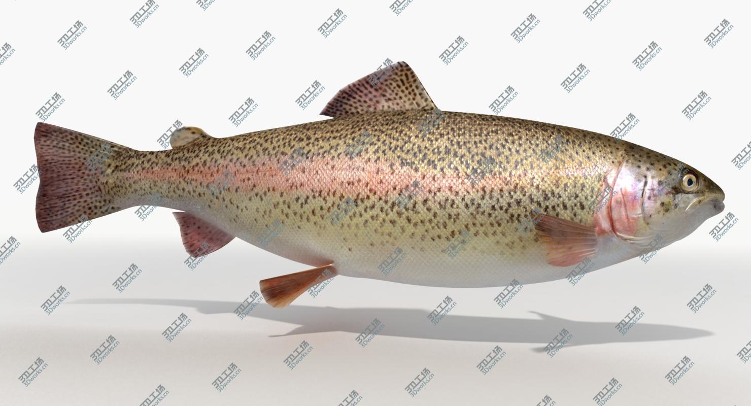 images/goods_img/20210313/Trout (Animated) 3D model/1.jpg